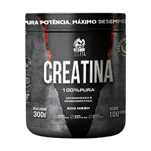 CREATINA 100 % PURA 300G - VITAMIN HORSE