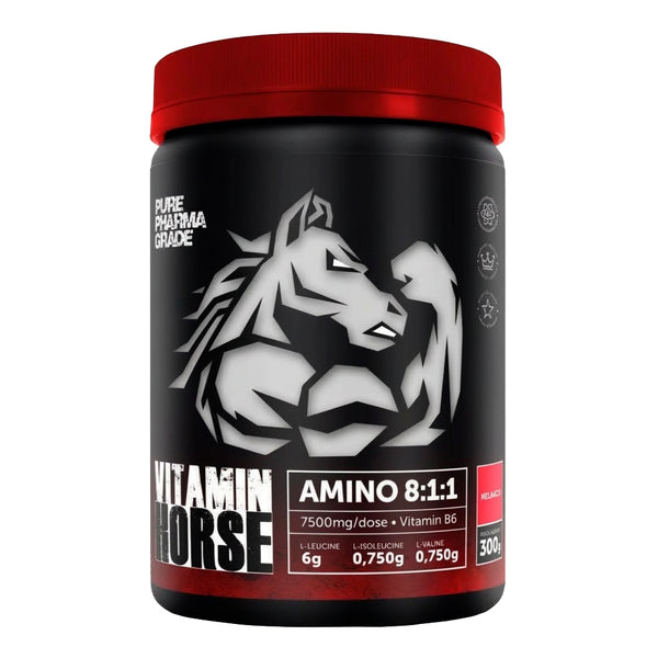 AMINOACID 8:1:1 300GR - VITAMIN HORSE - MELANCIA