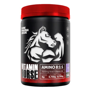 AMINOACID 8:1:1 300g - VITAMIN HORSE