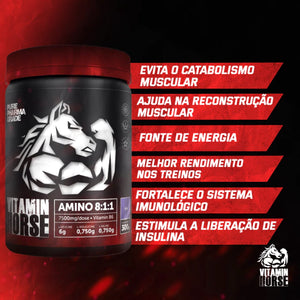 AMINOACID 8:1:1 300g - VITAMIN HORSE