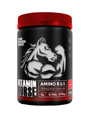 AMINOACID 8:1:1 300GR - VITAMIN HORSE - MELANCIA
