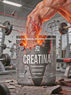 CREATINA 100 % PURA 300G - VITAMIN HORSE