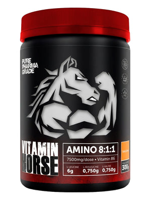 AMINOACID 8:1:1 300GR - VITAMIN HORSE - TANGERINA