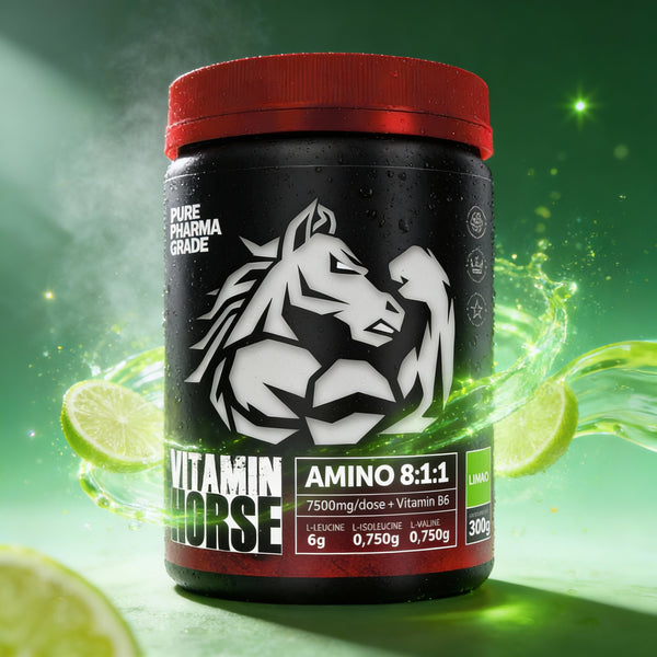 AMINOACID 8:1:1 300g - VITAMIN HORSE