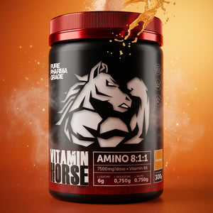 AMINOACID 8:1:1 300g - VITAMIN HORSE